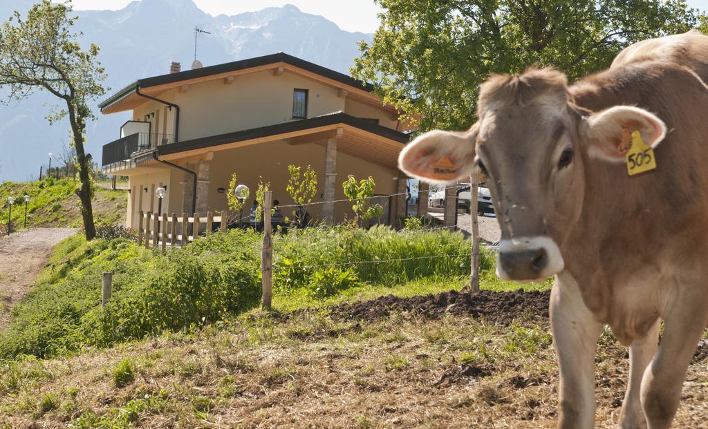 Agriturismo Al Franet Tremosine المظهر الخارجي الصورة