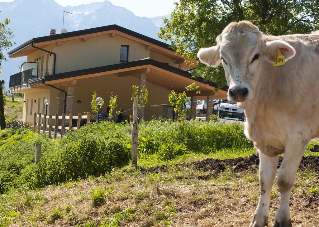 Agriturismo Al Franet Tremosine المظهر الخارجي الصورة