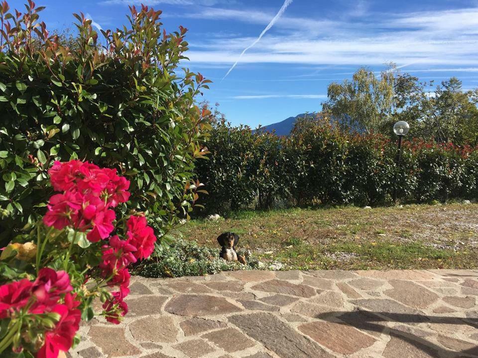 Agriturismo Al Franet Tremosine المظهر الخارجي الصورة